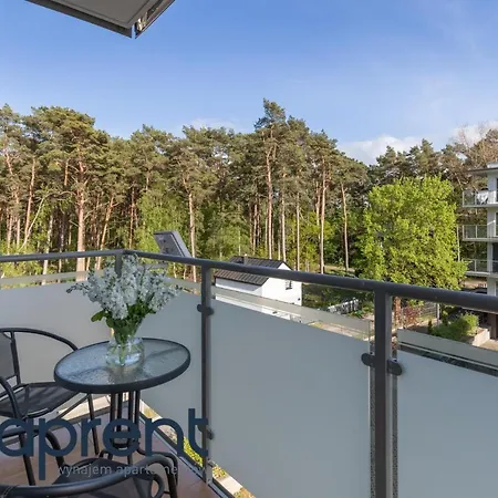 Sandrosa Lesne Tarasy - Aprent Apartment *